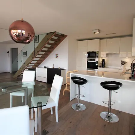 Magnifique Et Spacieux Appartement Avec Vue Lac Pully