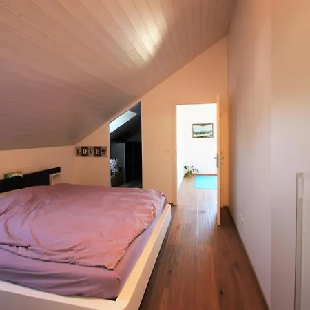 Magnifique et spacieux appartement avec vue lac Appartement Pully