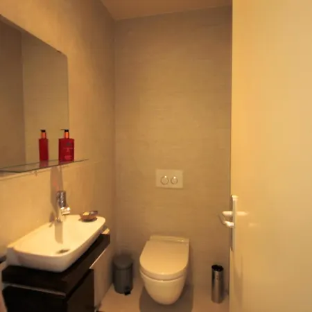 Апартаменты Magnifique Et Spacieux Appartement Avec Vue Lac